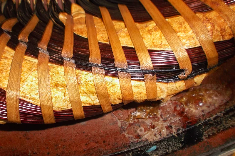 Detailed image of stator winding insulation with visible wear, inspected for potential short circuits or damage.