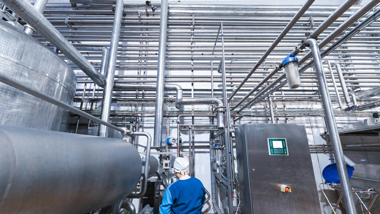 Worker in food processing plant surrounded by Stainless Steel Conduit 